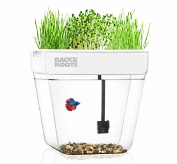 Back to the Roots Indoor Aquaponic Garden Review - Grow Fresh Herbs and Microgreens Year Round